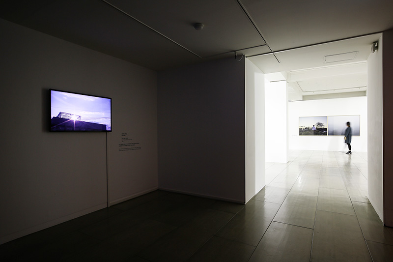 installation view