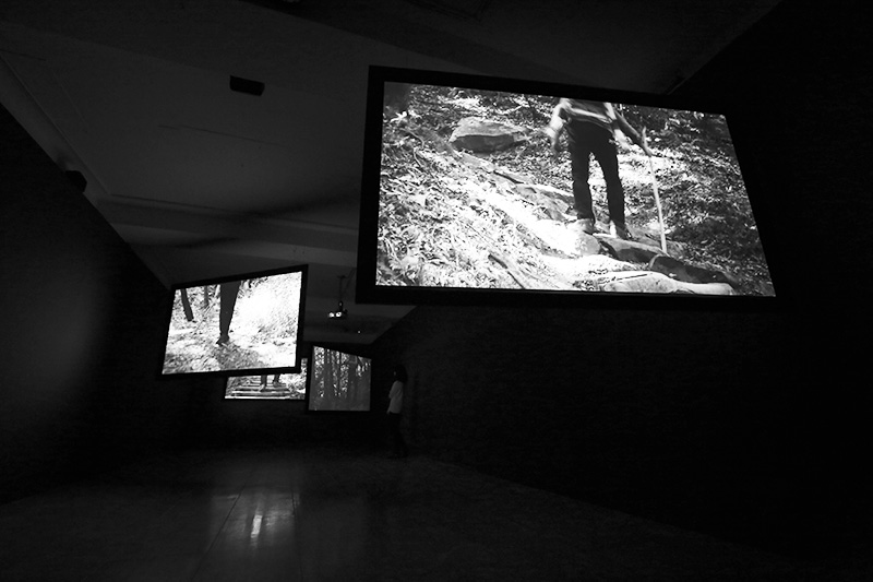 installation view