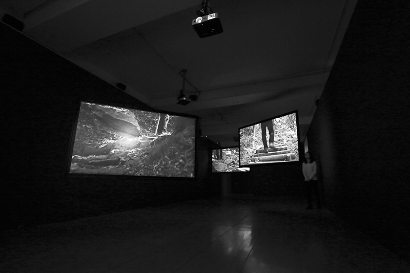 installation view installation view