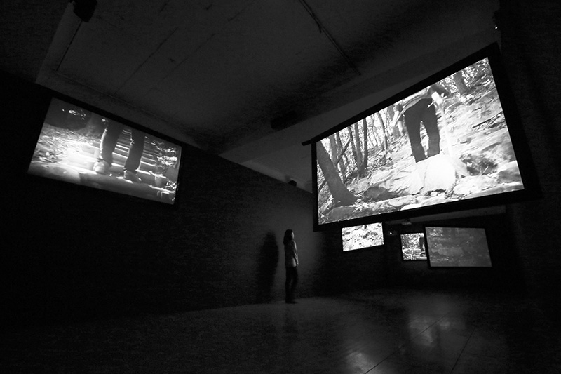 installation view